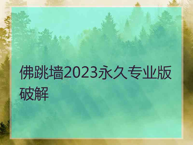 佛跳墙2023永久专业版破解