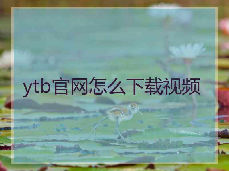 ytb官网怎么下载视频