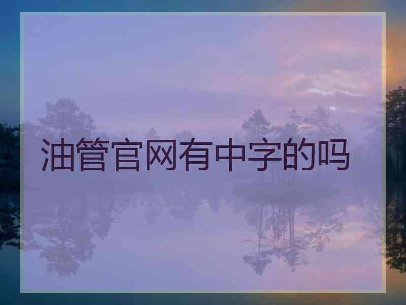 油管官网有中字的吗