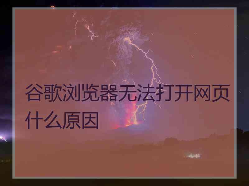 谷歌浏览器无法打开网页什么原因