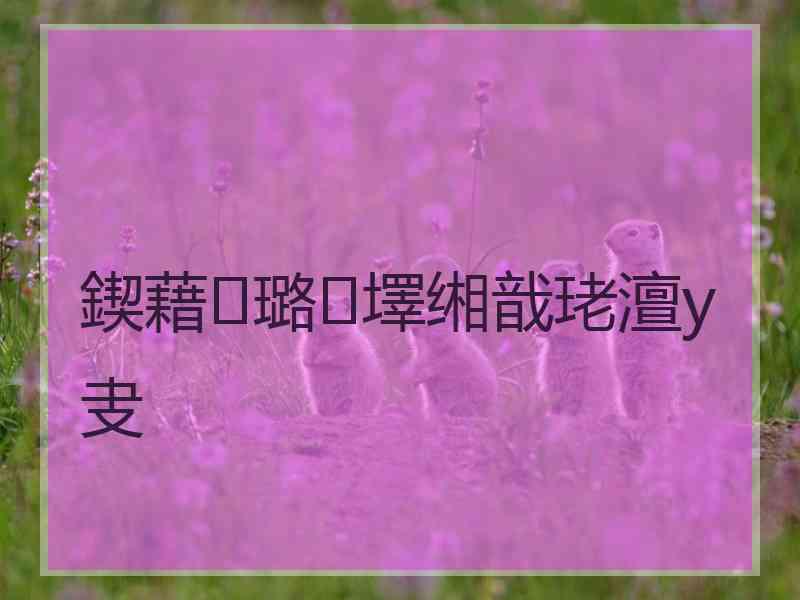 鍥藉璐墿缃戠珯澶у叏