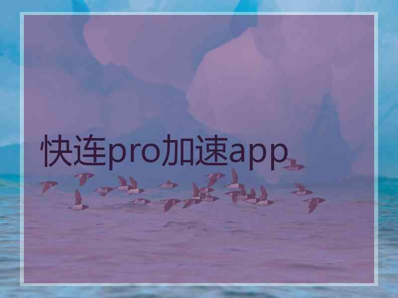 快连pro加速app