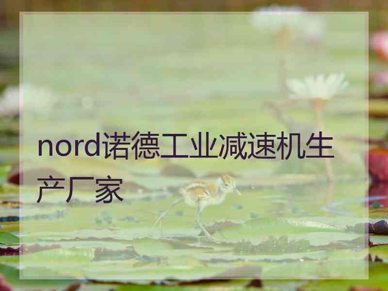 nord诺德工业减速机生产厂家