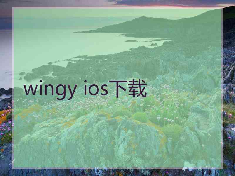 wingy ios下载