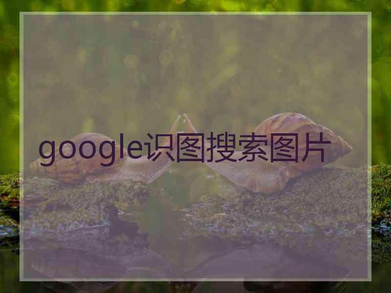 google识图搜索图片