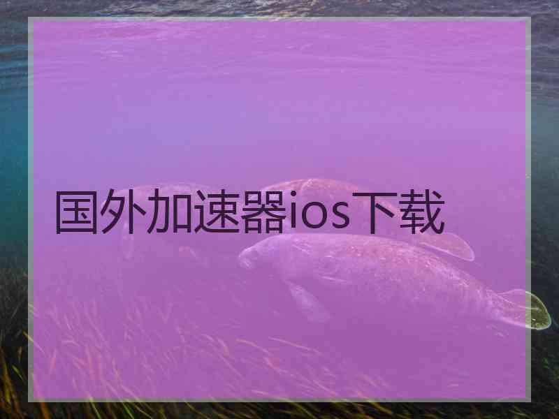 国外加速器ios下载