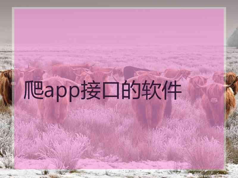 爬app接口的软件