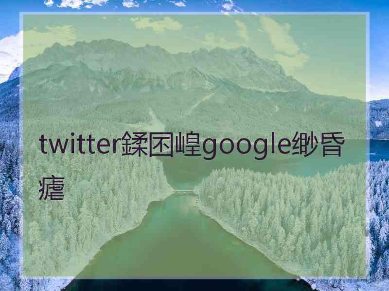 twitter鍒囨崲google缈昏瘧