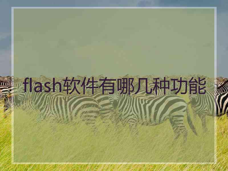 flash软件有哪几种功能