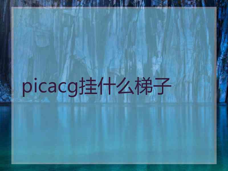 picacg挂什么梯子