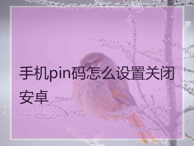 手机pin码怎么设置关闭安卓