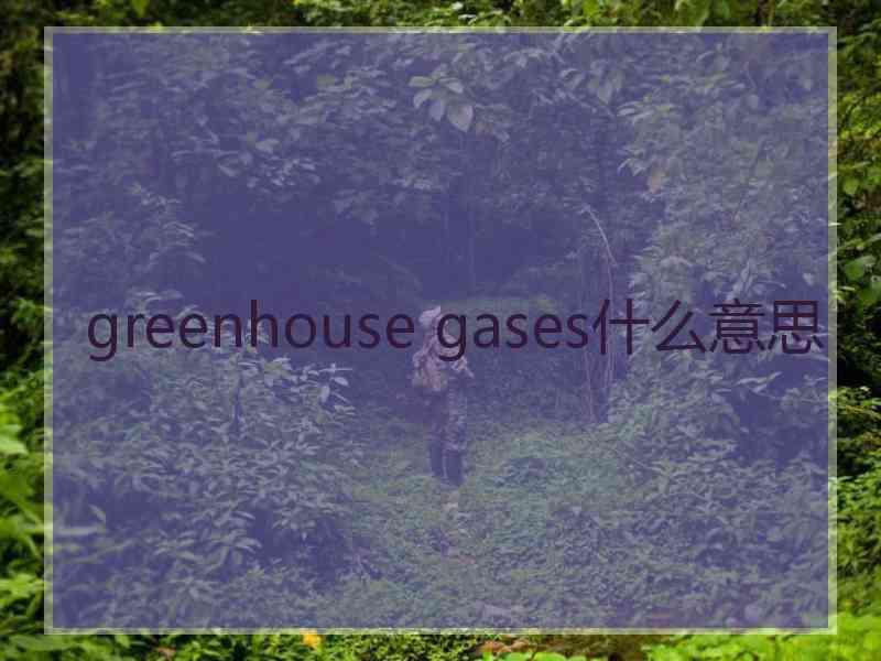 greenhouse gases什么意思