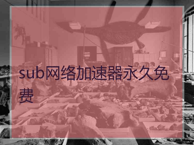 sub网络加速器永久免费