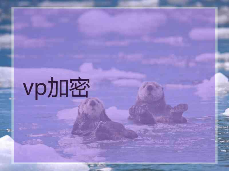 vp加密