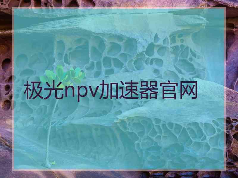 极光npv加速器官网