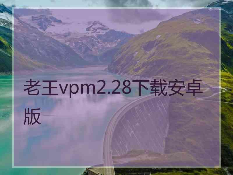 老王vpm2.28下载安卓版