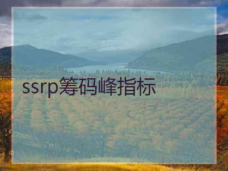 ssrp筹码峰指标