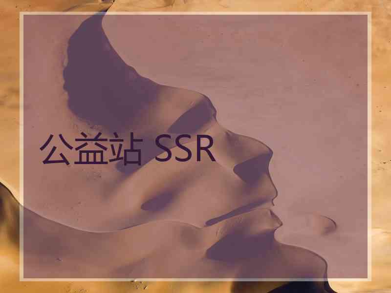 公益站 SSR