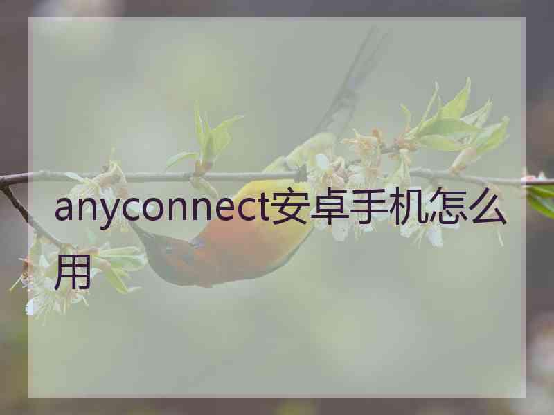 anyconnect安卓手机怎么用