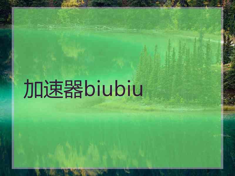 加速器biubiu