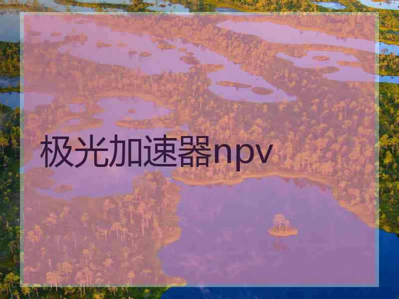 极光加速器npv