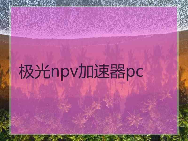 极光npv加速器pc