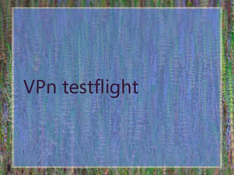 VPn testflight