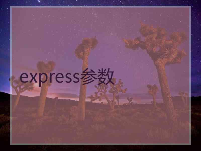 express参数