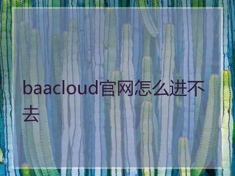 baacloud官网怎么进不去