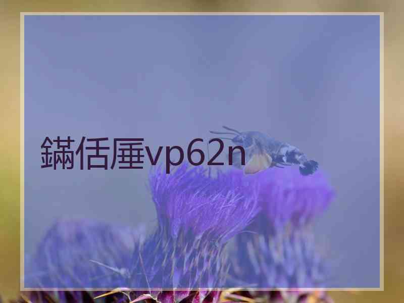 鏋佸厜vp62n