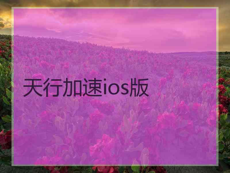 天行加速ios版