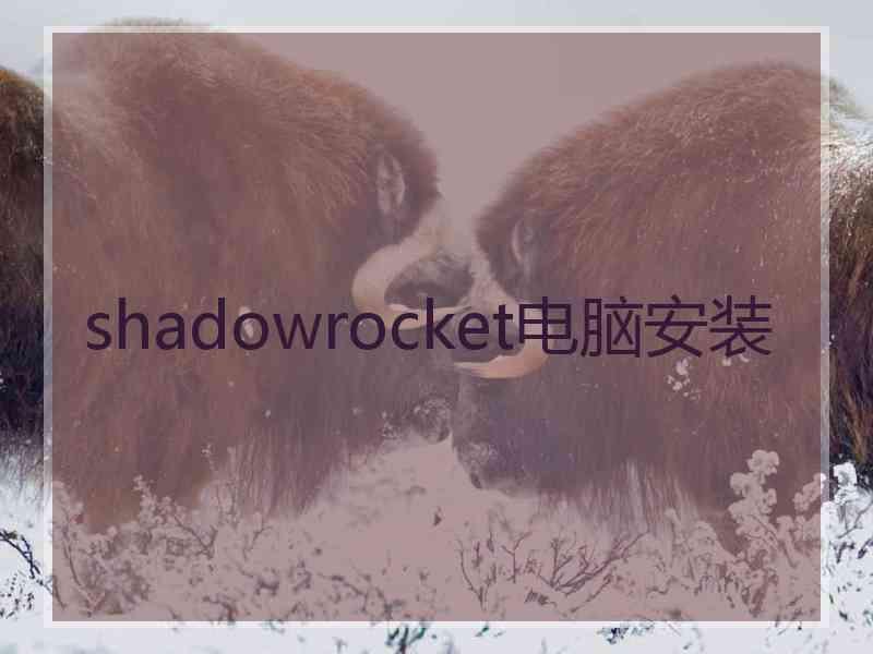 shadowrocket电脑安装