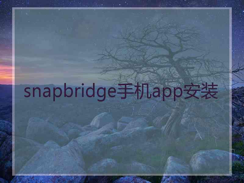 snapbridge手机app安装