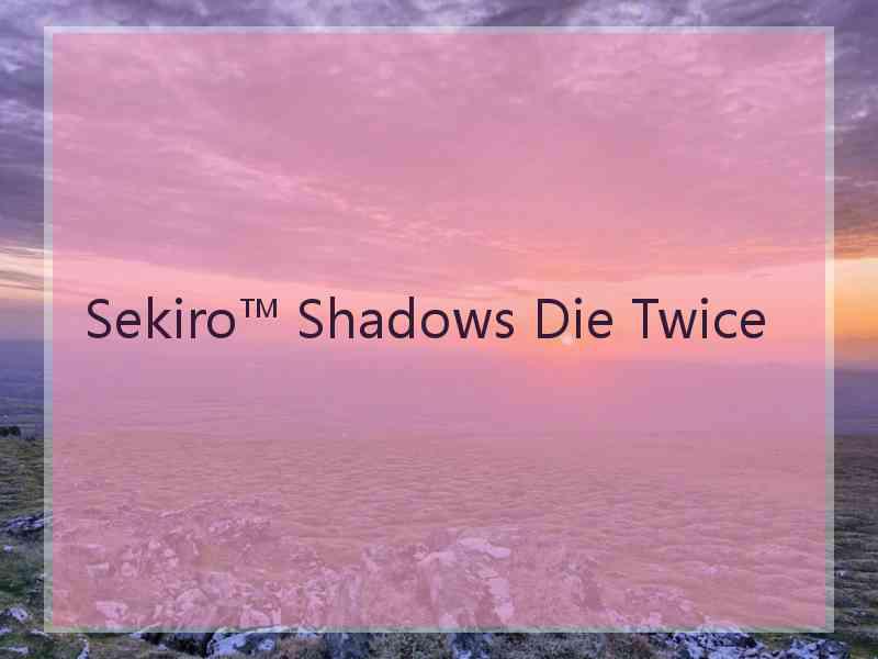 Sekiro™ Shadows Die Twice