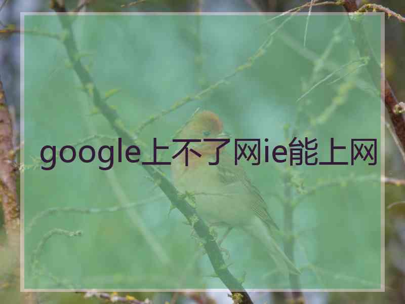 google上不了网ie能上网