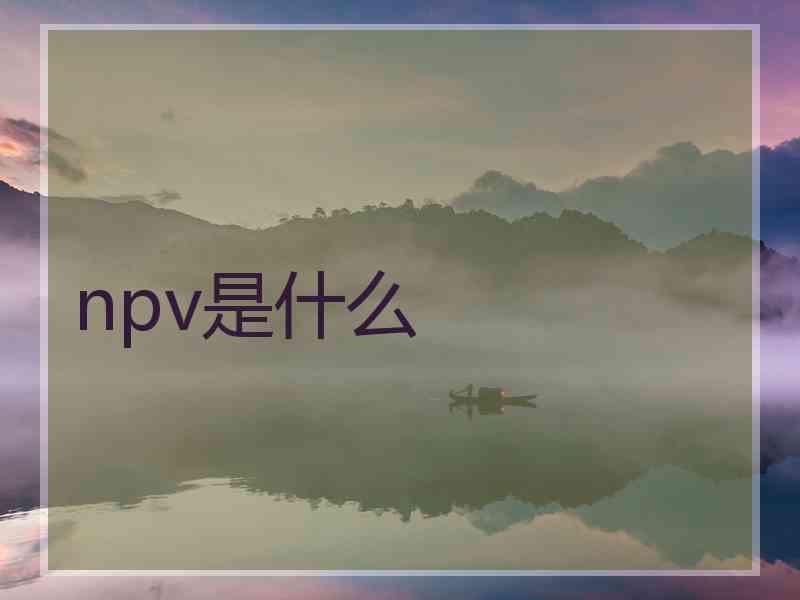 npv是什么