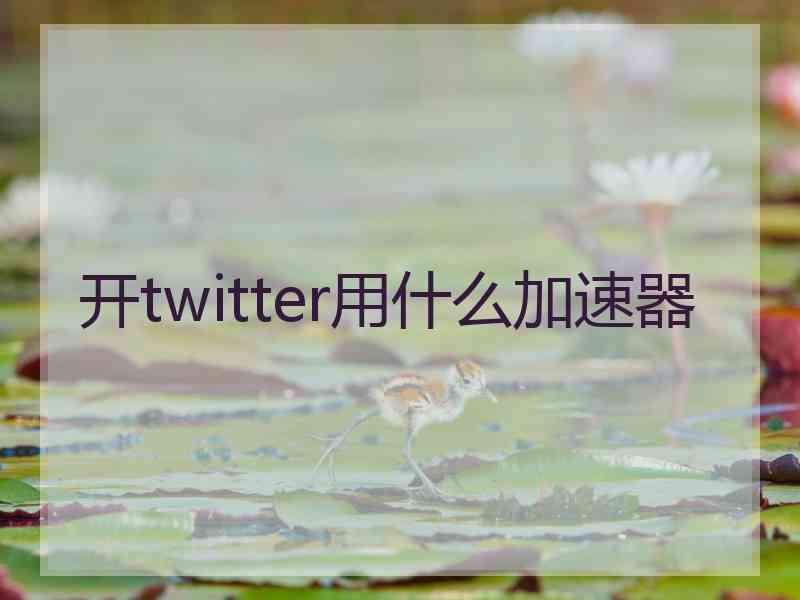 开twitter用什么加速器