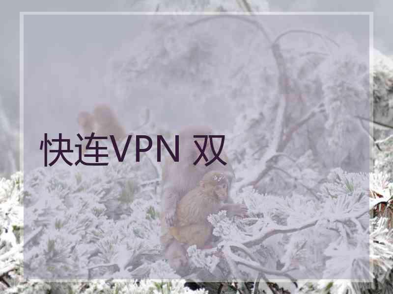 快连VPN 双