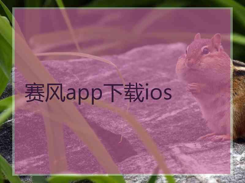 赛风app下载ios