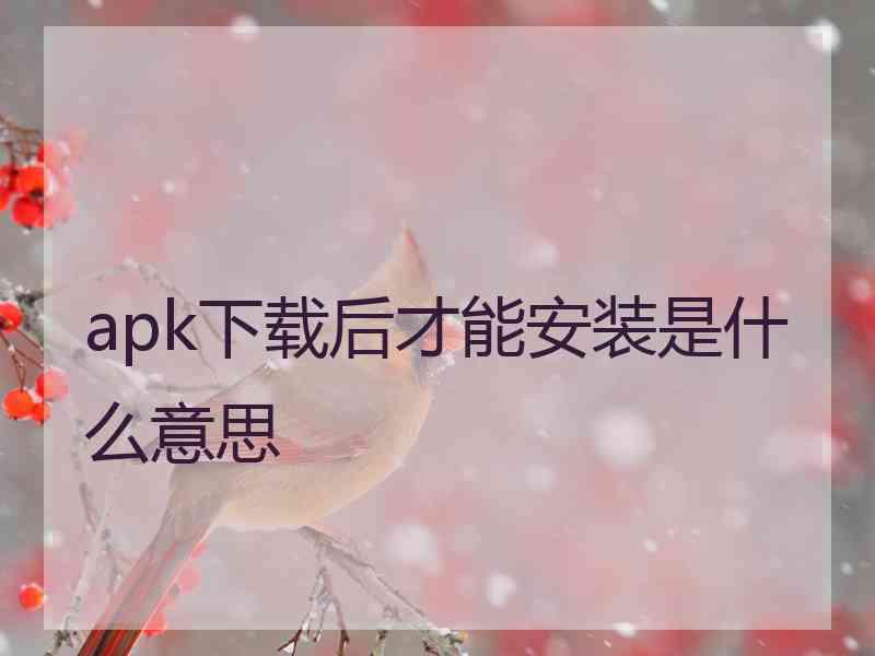 apk下载后才能安装是什么意思