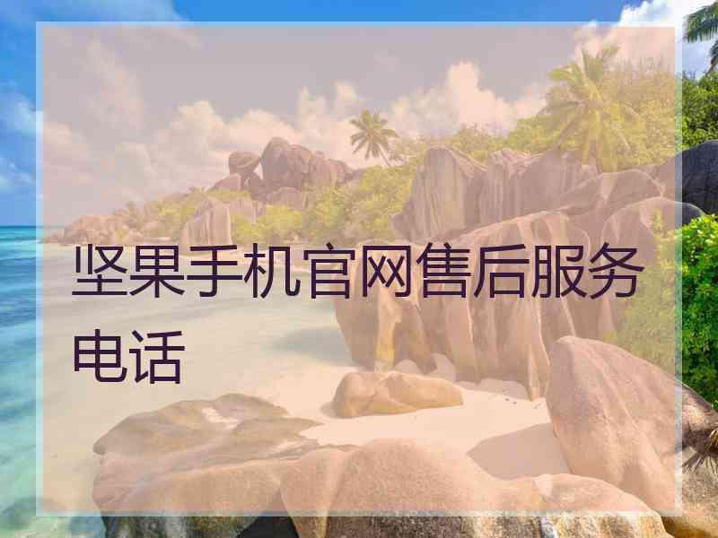 坚果手机官网售后服务电话