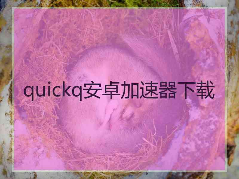 quickq安卓加速器下载