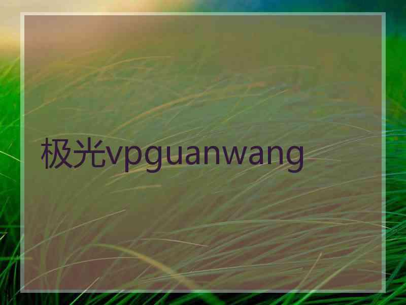 极光vpguanwang