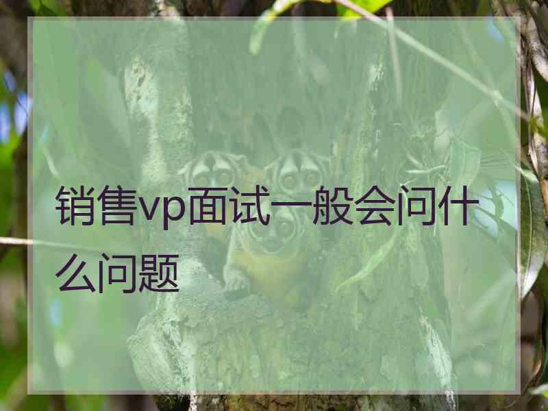 销售vp面试一般会问什么问题