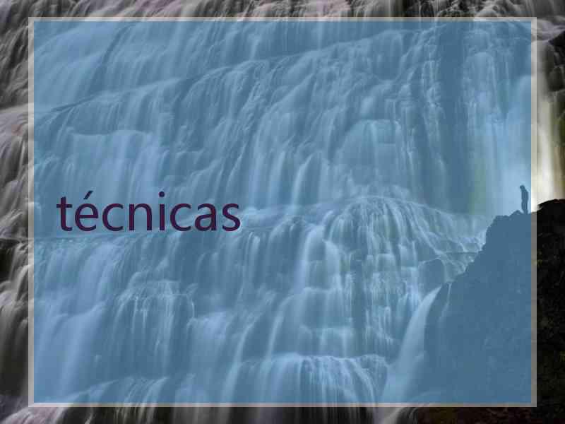 técnicas