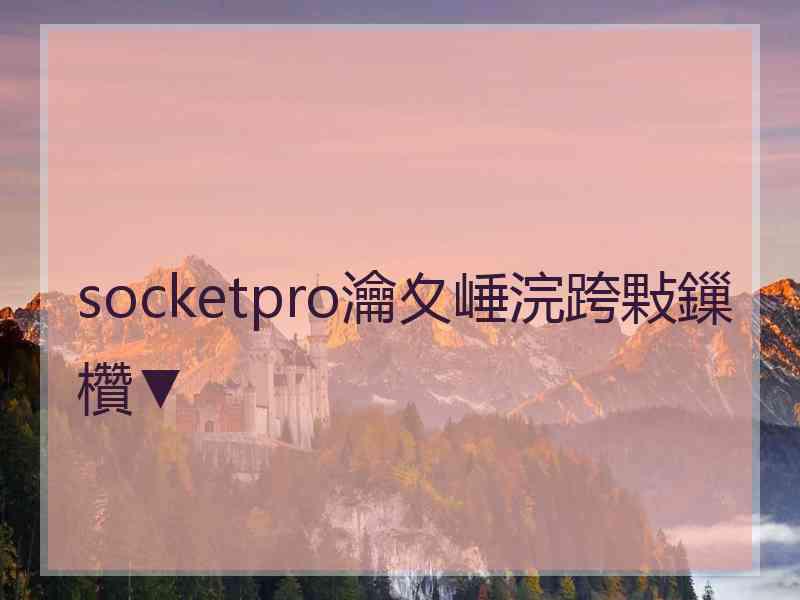 socketpro瀹夊崜浣跨敤鏁欑▼