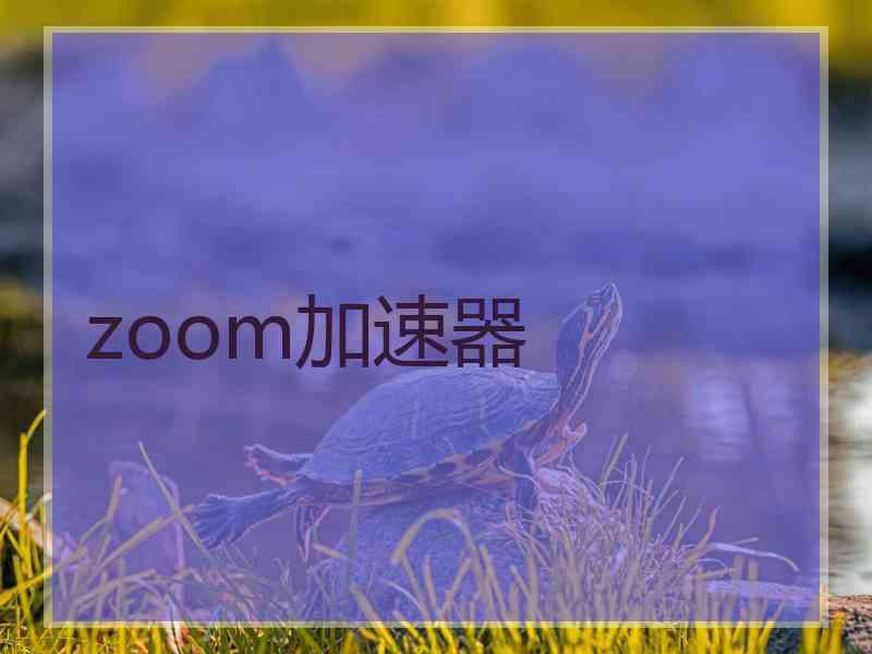 zoom加速器