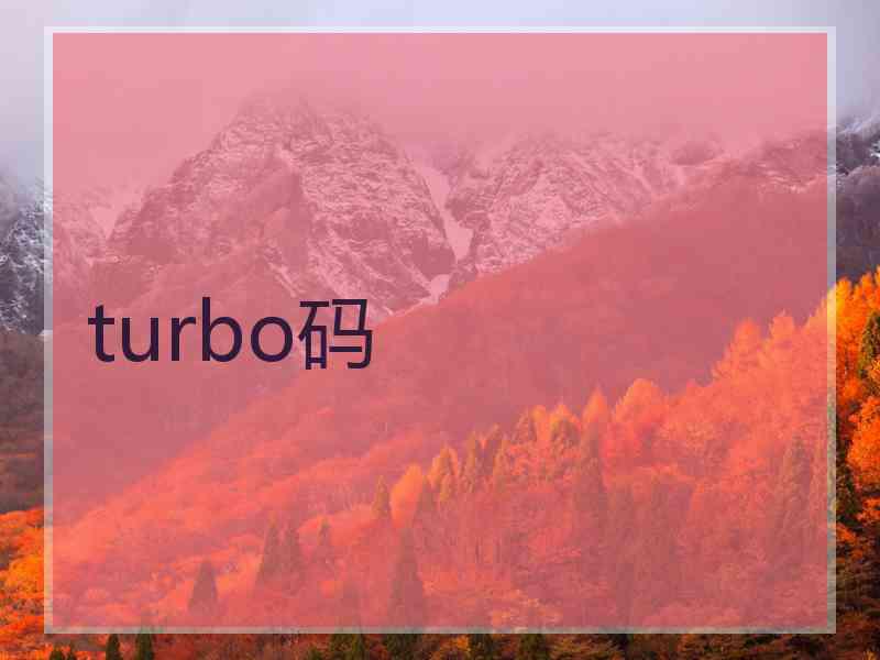 turbo码