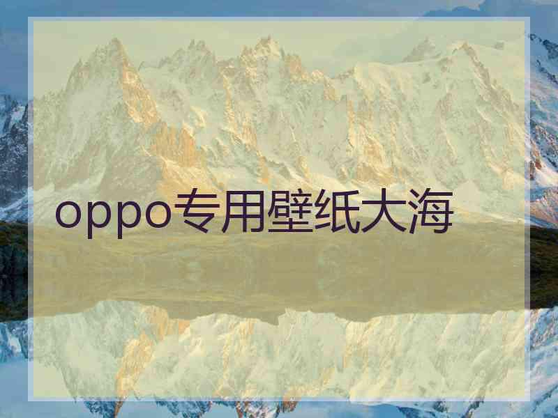 oppo专用壁纸大海