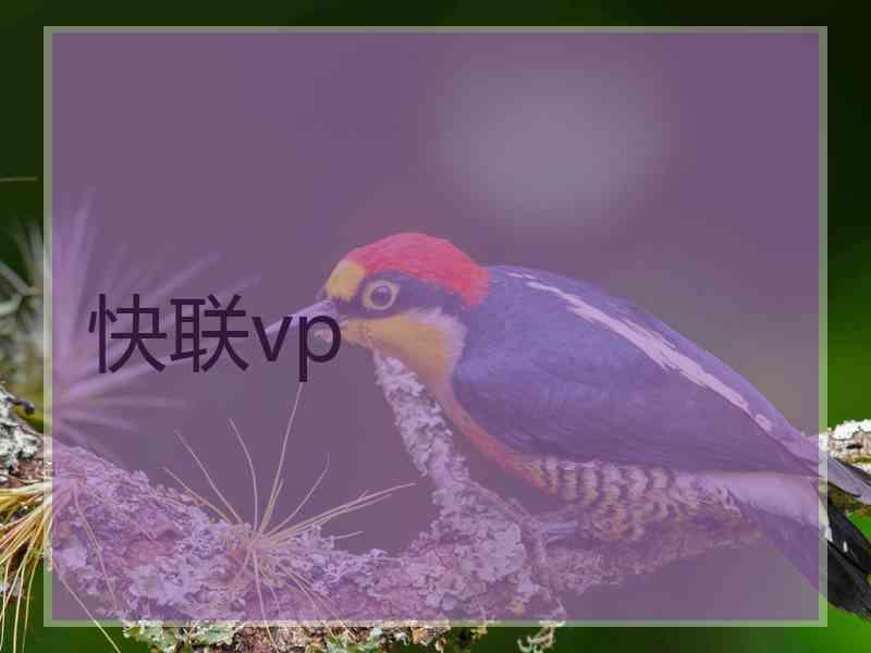 快联vp